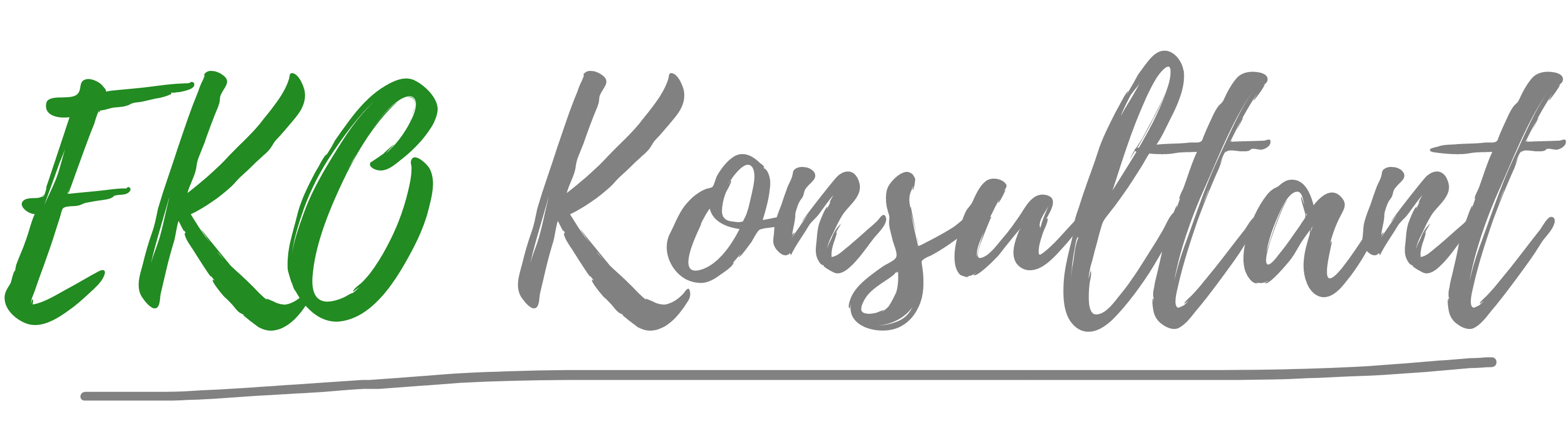 Eko Konsultant